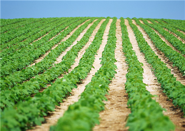 1564647409418053.jpg d89a8dbba10e48d373b780c82a7c2da7.jpg