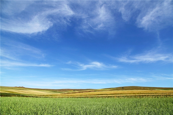 1564647470119516.jpg 20190801_140232_039.jpg