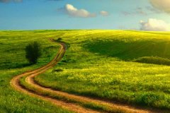 土壤墑情監(jiān)測(cè)系統(tǒng)斷電了怎么辦