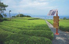 土壤墑情監測儀助力科技種田