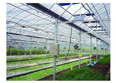 土壤墑情監測系統可以指導溫室灌溉嗎