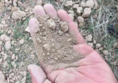 監測土壤水分的常規方法