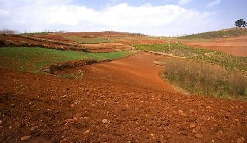 取樣方式不同對土壤墑情監測精度有影響嗎？