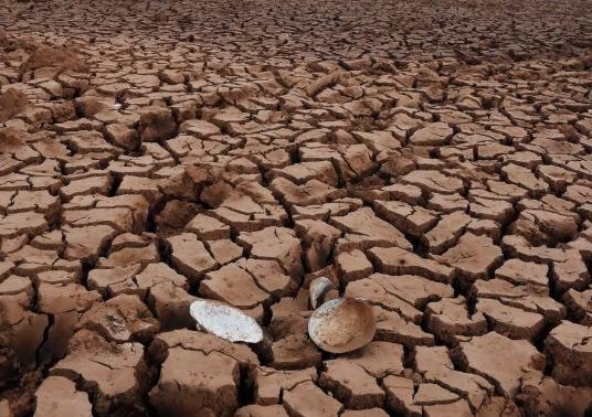 遠程墑情自動監(jiān)測系統(tǒng)設計思路 遠程墑情自動監(jiān)測系統(tǒng)設計思路