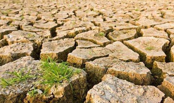 目測土壤墑情？