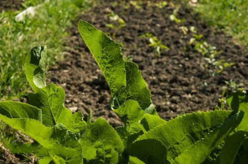 國(guó)內(nèi)外墑情監(jiān)測(cè)方法 國(guó)內(nèi)外墑情監(jiān)測(cè)方法